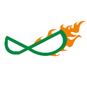 西安火神网络科技有限公司