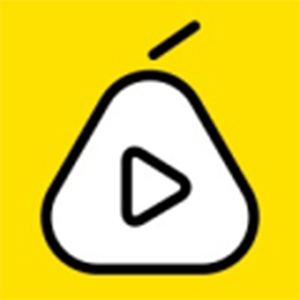 上海新梨视网络科技有限公司