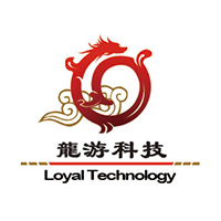 石家庄龙游科技有限公司