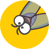 厦门立马耀网络科技有限公司