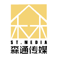 沈阳森通传媒科技有限公司